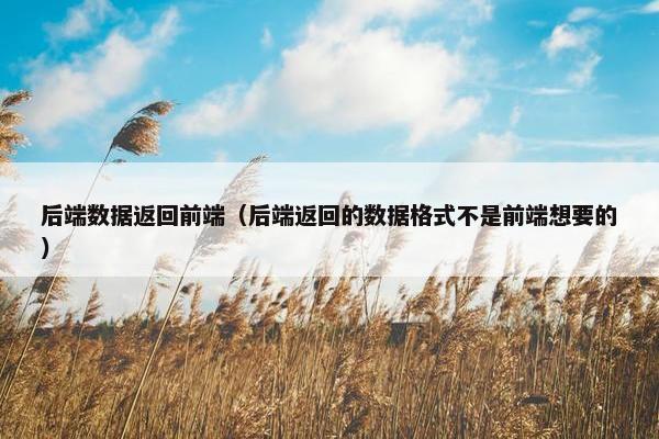 后端数据返回前端（后端返回的数据格式不是前端想要的）