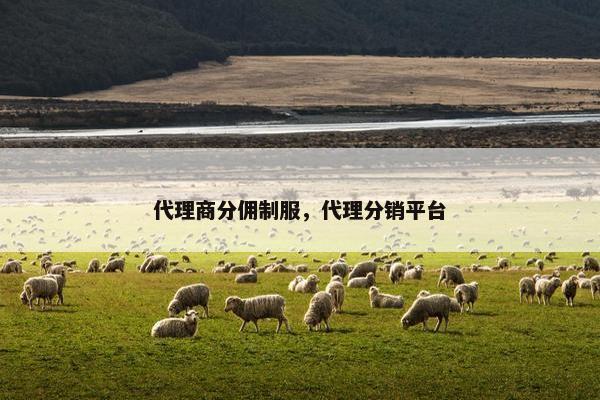 代理商分佣制服，代理分销平台