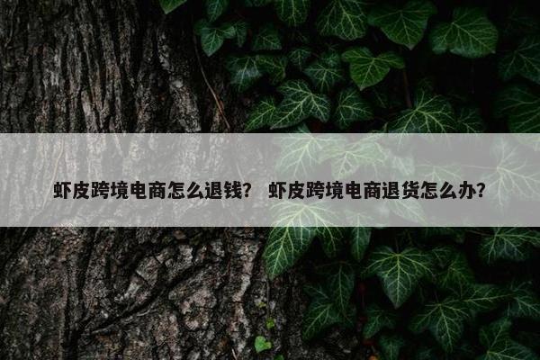 虾皮跨境电商怎么退钱？ 虾皮跨境电商退货怎么办？