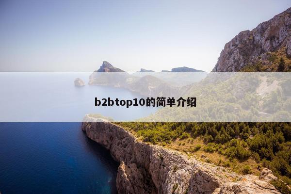 b2btop10的简单介绍