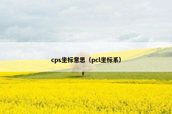 cps坐标意思（pcl坐标系）
