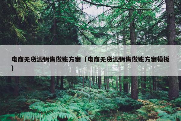 电商无货源销售做账方案（电商无货源销售做账方案模板）