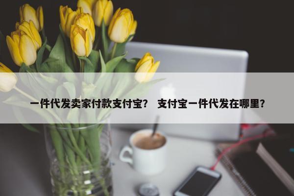 一件代发卖家付款支付宝? 支付宝一件代发在哪里? 一件代发卖家付款支付宝? 支付宝一件代发在哪里?