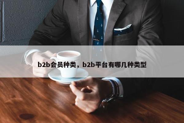 b2b会员种类，b2b平台有哪几种类型