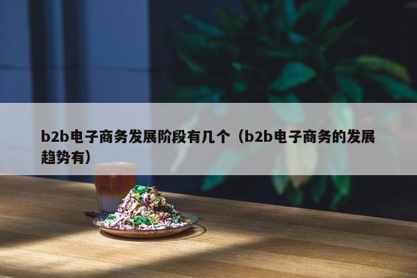 b2b电子商务发展阶段有几个（b2b电子商务的发展趋势有）