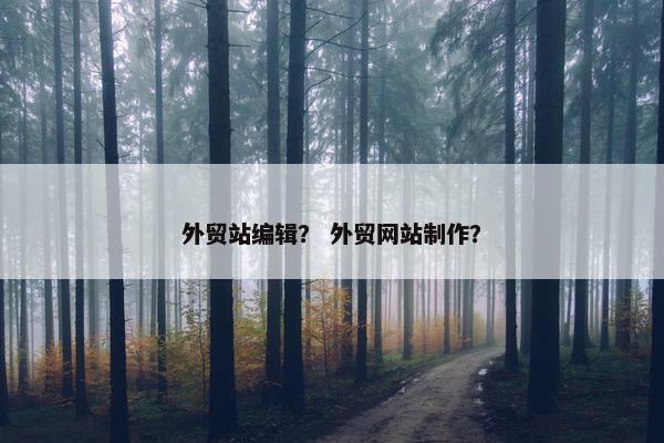 外贸站编辑？ 外贸网站制作？
