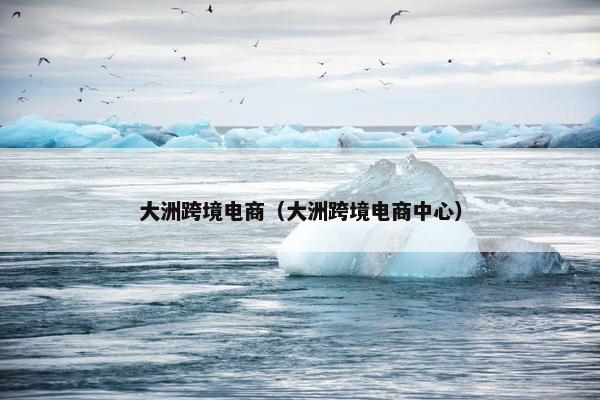 大洲跨境电商(大洲跨境电商中心)