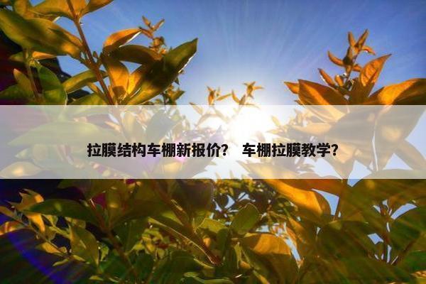 拉膜结构车棚新报价？ 车棚拉膜教学？