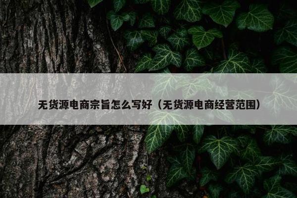 无货源电商宗旨怎么写好（无货源电商经营范围）