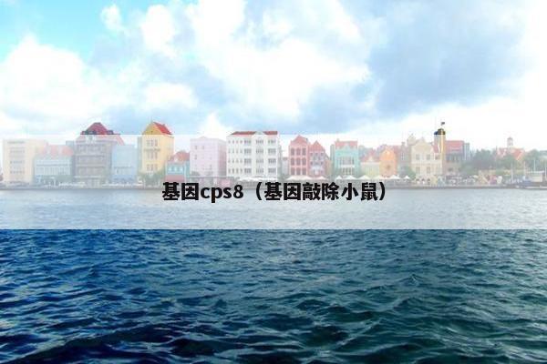 基因cps8（基因敲除小鼠）