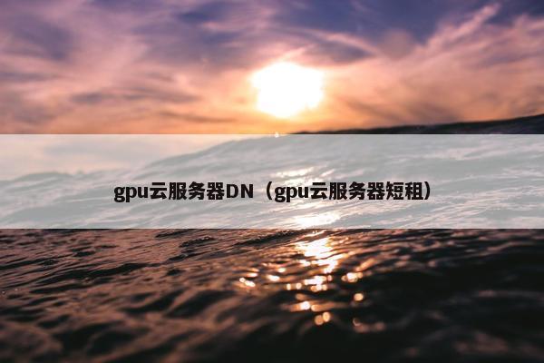 gpu云服务器DN(gpu云服务器短租)