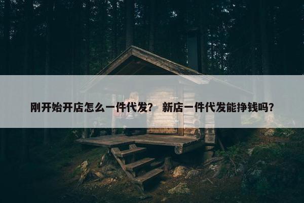 刚开始开店怎么一件代发？ 新店一件代发能挣钱吗？