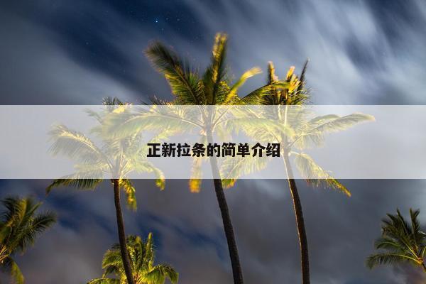 正新拉条的简单介绍