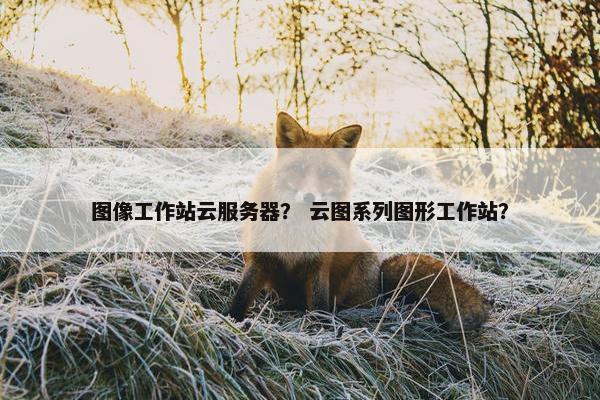 图像工作站云服务器？ 云图系列图形工作站？