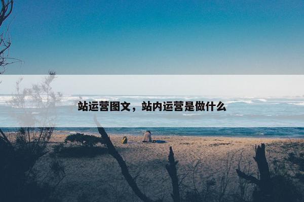 站运营图文，站内运营是做什么