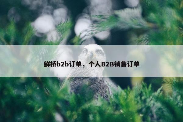 鲜桥b2b订单，个人B2B销售订单