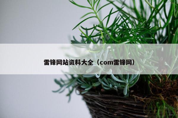雷锋网站资料大全(com雷锋网)