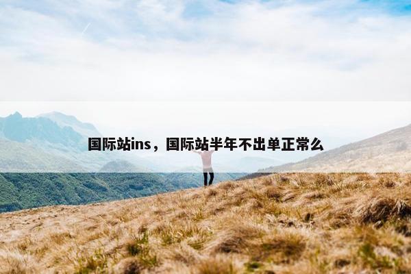 国际站ins,国际站半年不出单正常么