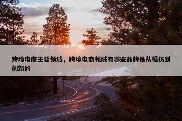 跨境电商主要领域，跨境电商领域有哪些品牌是从模仿到创新的