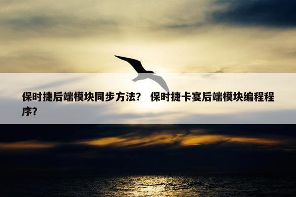 保时捷后端模块同步方法? 保时捷卡宴后端模块编程程序?
