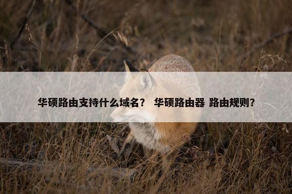 华硕路由支持什么域名? 华硕路由器 路由规则?