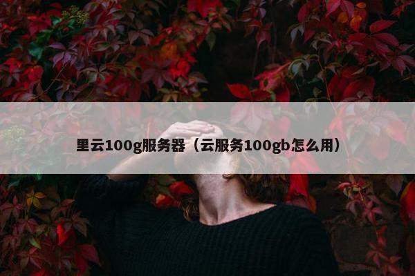 里云100g服务器(云服务100gb怎么用)