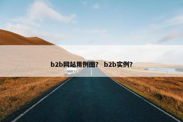 b2b网站用例图？ b2b实例？