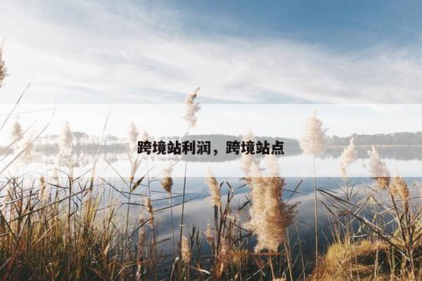 跨境站利润，跨境站点