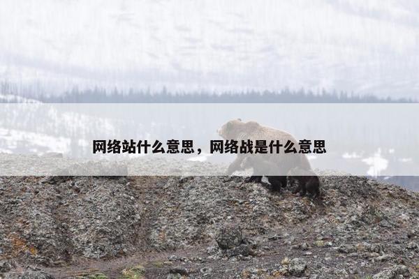 网络站什么意思，网络战是什么意思