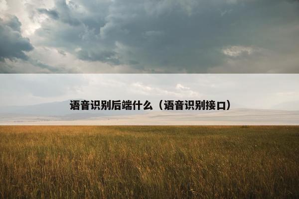 语音识别后端什么(语音识别接口)