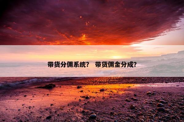 带货分佣系统？ 带货佣金分成？
