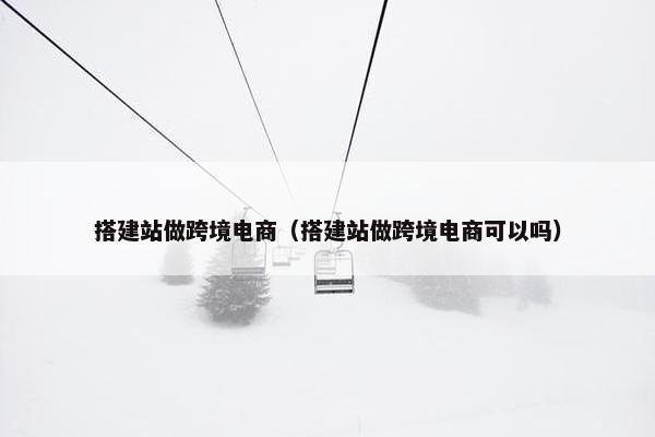 搭建站做跨境电商（搭建站做跨境电商可以吗）