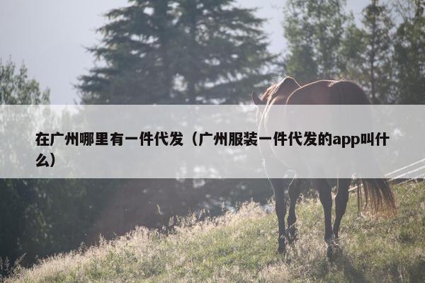 在广州哪里有一件代发(广州服装一件代发的app叫什么)