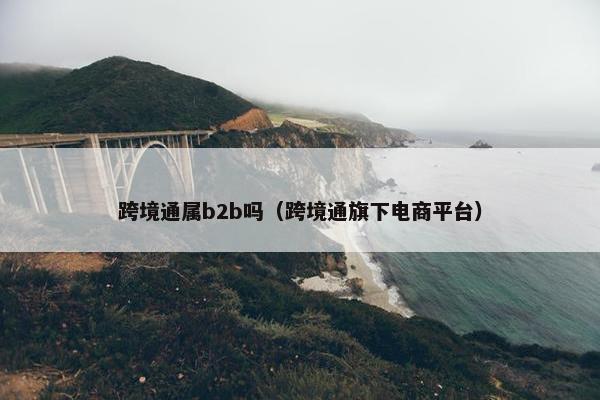 跨境通属b2b吗(跨境通旗下电商平台)