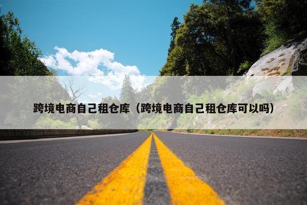 跨境电商自己租仓库(跨境电商自己租仓库可以吗)
