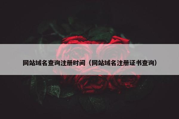 网站域名查询注册时间(网站域名注册证书查询)