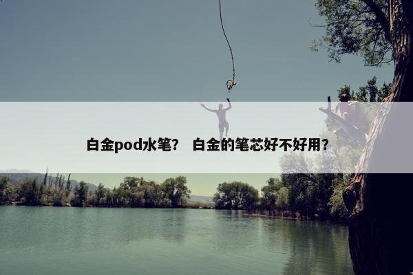 白金pod水笔? 白金的笔芯好不好用?