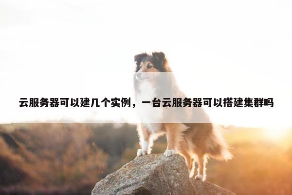 云服务器可以建几个实例,一台云服务器可以搭建集群吗
