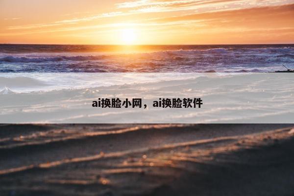 ai换脸小网,ai换脸软件