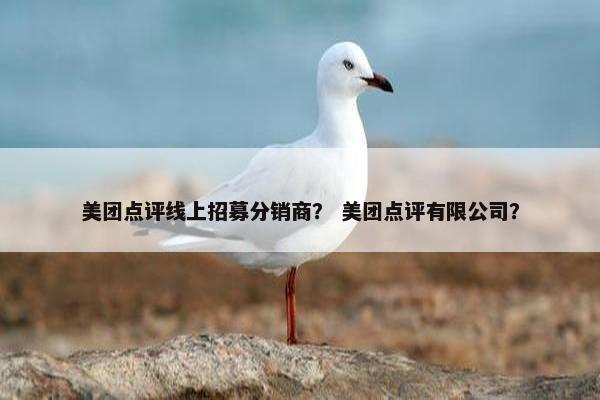 美团点评线上招募分销商? 美团点评有限公司?