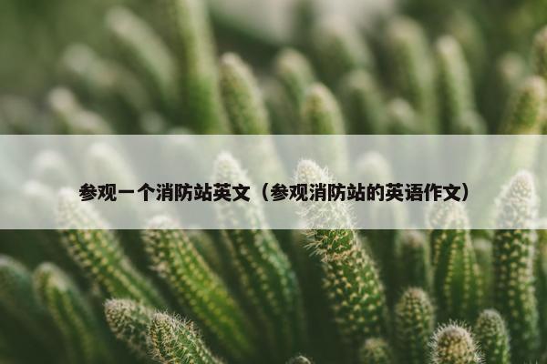 参观一个消防站英文（参观消防站的英语作文）