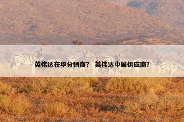 英伟达在华分销商？ 英伟达中国供应商？