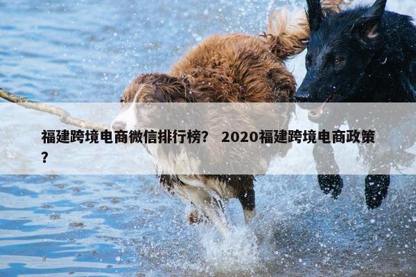 福建跨境电商微信排行榜? 2020福建跨境电商政策?