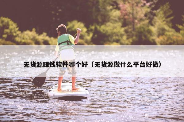 无货源赚钱软件哪个好(无货源做什么平台好做)