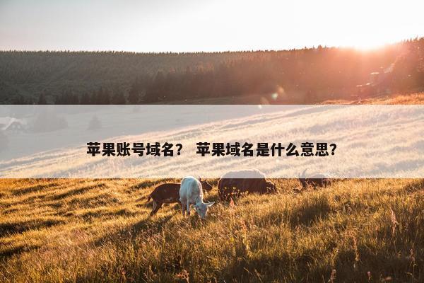 苹果账号域名? 苹果域名是什么意思?