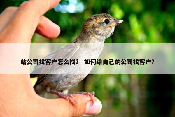 站公司找客户怎么找？ 如何给自己的公司找客户？