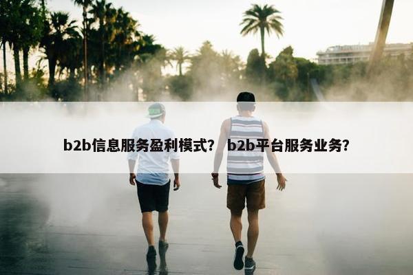 b2b信息服务盈利模式? b2b平台服务业务?