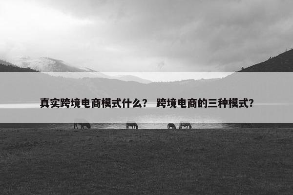 真实跨境电商模式什么? 跨境电商的三种模式?