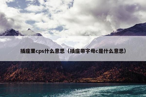 插座里cps什么意思(插座带字母c是什么意思)