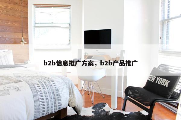 b2b信息推广方案,b2b产品推广